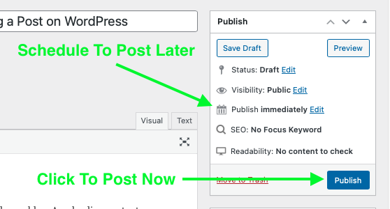 Previewing and Publishing Your Post